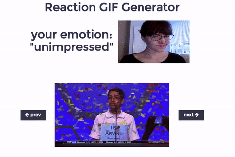 a screenshot from the reaction gif generator